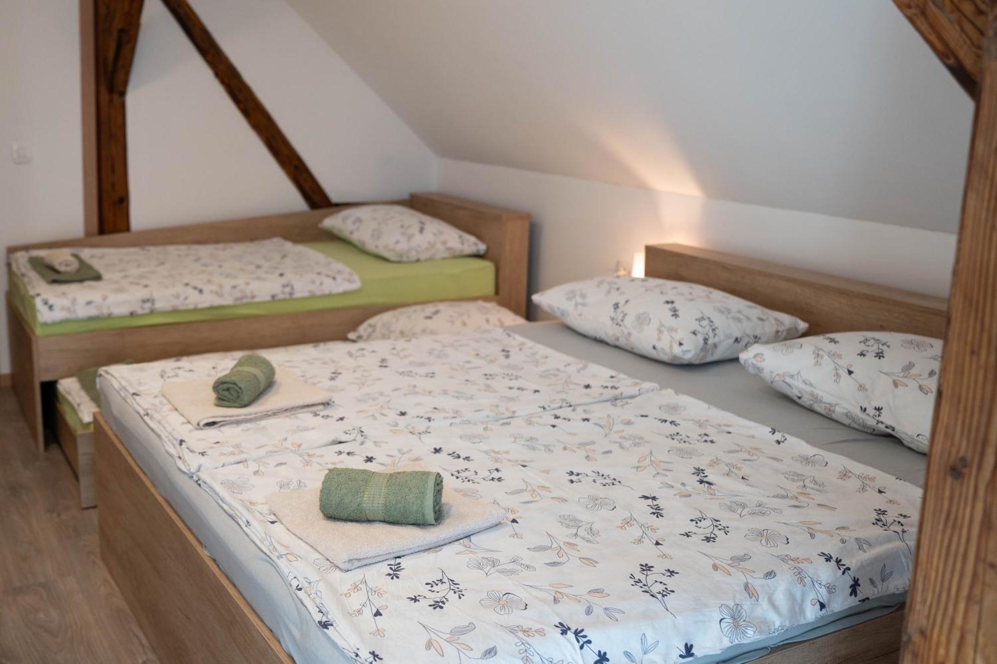 Apartma Sveti Duh Nova Vas  الغرفة الصورة