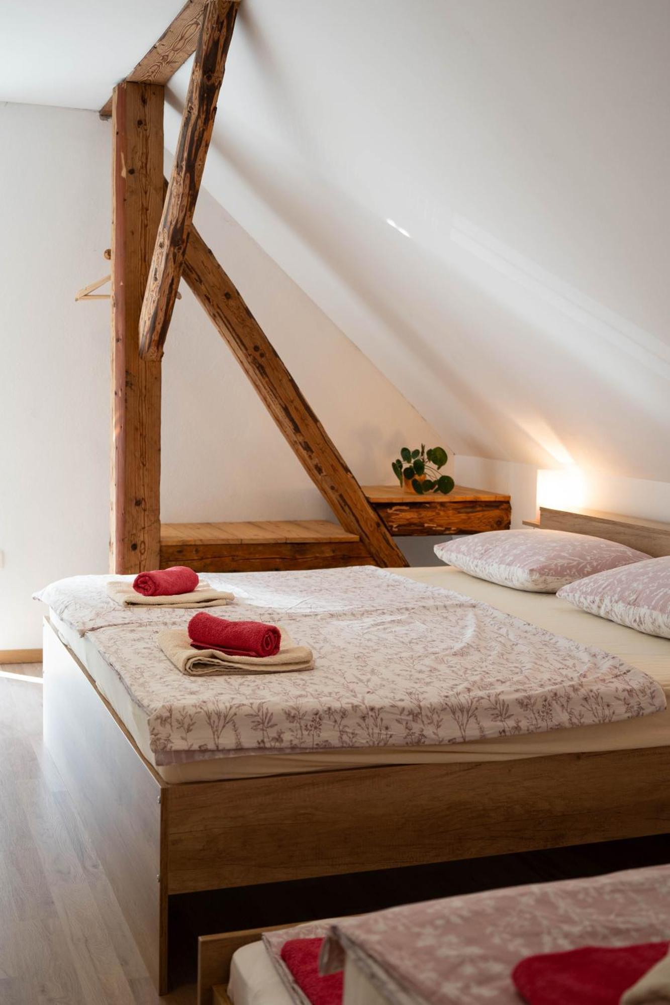 Apartma Sveti Duh Nova Vas  الغرفة الصورة