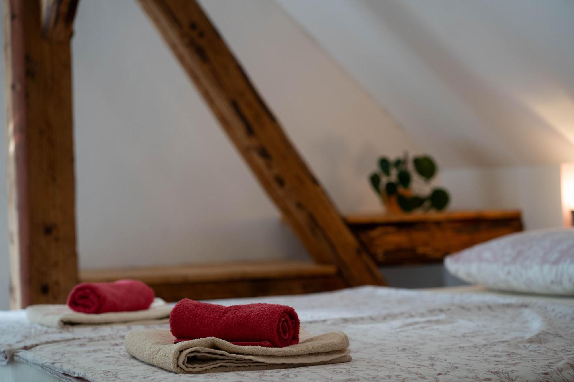 Apartma Sveti Duh Nova Vas  الغرفة الصورة